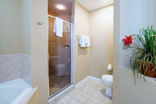 Apartamento Wqr Private Rentals