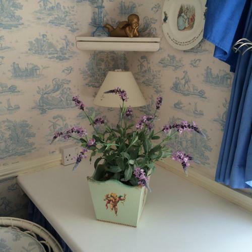 Bed & Breakfast Baileys At Springfields