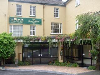 Ivy Bush Royal Hotel