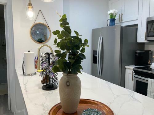 Newly Renovated Modern Studio L Center Downtown Great City View