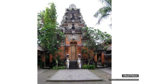 Villa Penginapan Sawah Asri