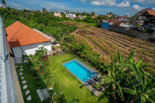 Hostal Canggu Rice Field Guesthouse