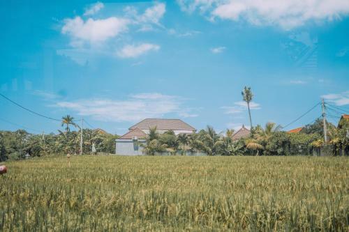 Villa Tipsy Coco By Hombali