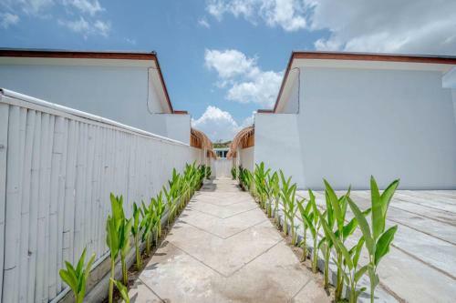 Kiki Village Paddy Field
