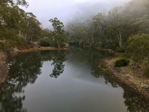 Number 78 - Tumbarumba