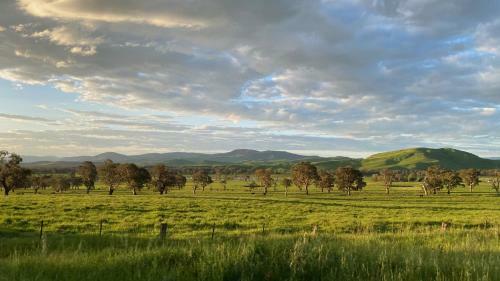 Number 78 - Tumbarumba