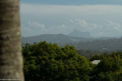 Tweed Coast Views