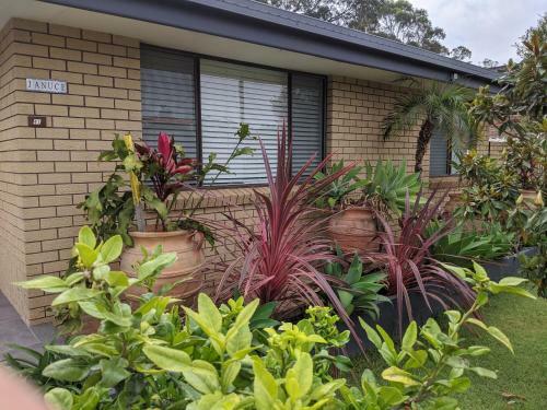 Januce - Delightful River Front House In Urunga