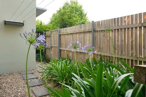 Premium 2 Bedroom Garden Apartment