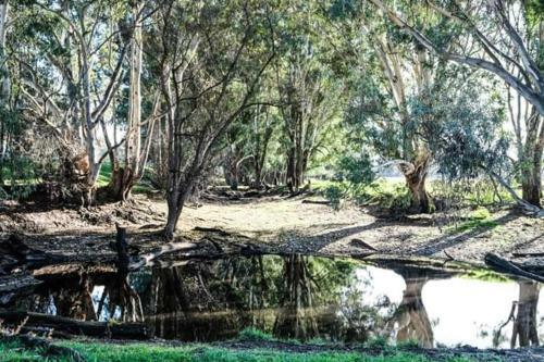 Hostal Oak Lane Guest House & Farm Stay
