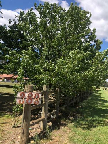 Hostal Oak Lane Guest House & Farm Stay