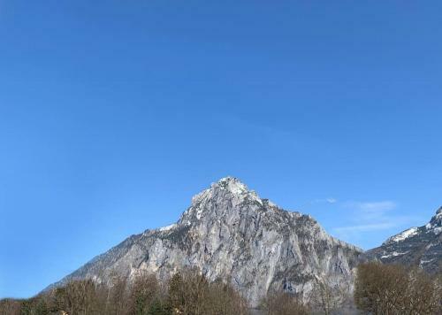 Neues, Exklusives Traunblick Apartment Am Traunsee