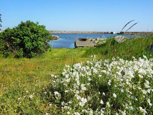 Holiday Home S�lvesborg IX