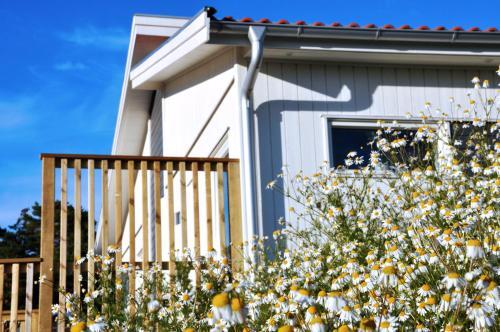 Apartamento Fornminnesv�gen