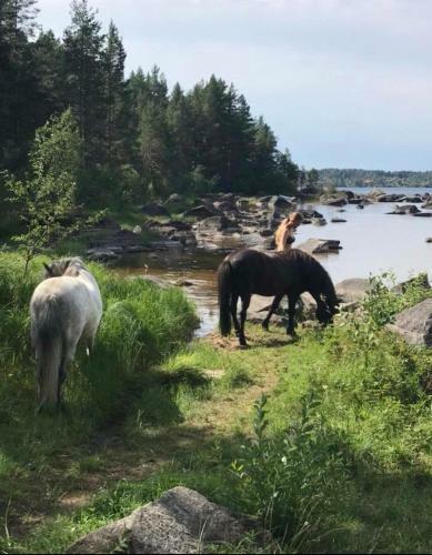 Agroturismo Det Gamla Panget