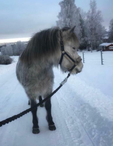Agroturismo Det Gamla Panget
