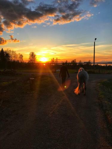 Agroturismo Det Gamla Panget