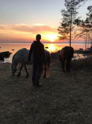 Agroturismo Det Gamla Panget