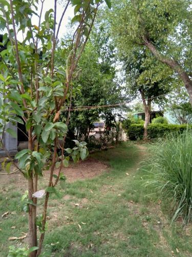 Agroturismo Tranquility Farm Stay