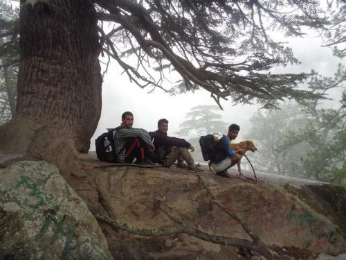 Dale Site Home Stay