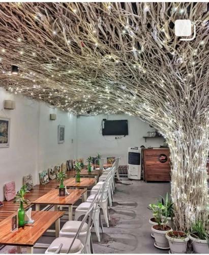 Hotel Seed Resort