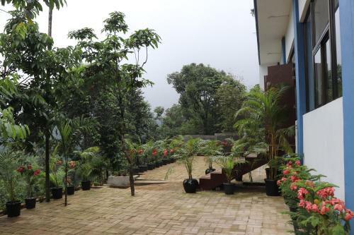 Hotel Royal View Resort