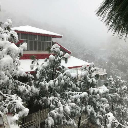 Hotel Ellays Dream Resort