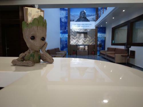 Hotel Riverfront, Somnath