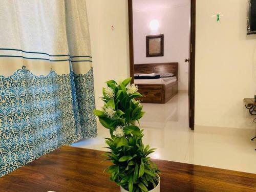 Honeymoon Special Pool-front 1bhk Cozy Apartment