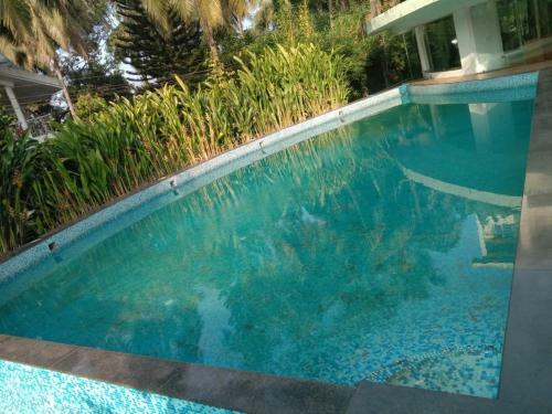 Apartamento Passion Stay By Himalaya