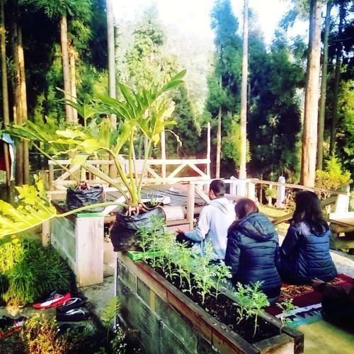 Rs Homestay