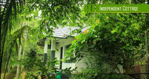 Villa Vintage Garden Resort