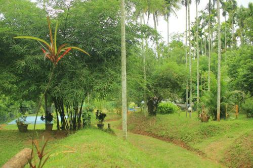 Villa Vintage Garden Resort