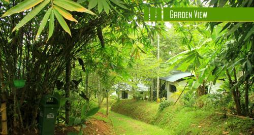 Villa Vintage Garden Resort