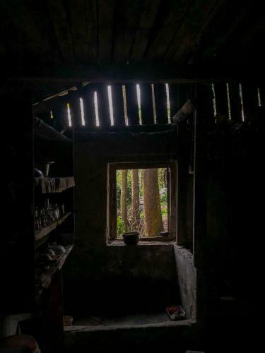 The Aldernest