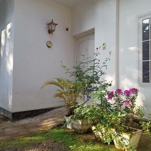 Lodge Cherry Villa-holiday Home