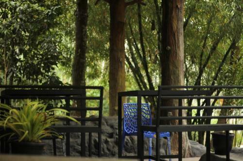 Hotel Bamboo Valley Resort