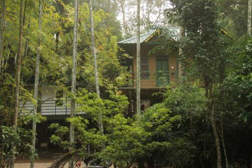 Hotel Bamboo Valley Resort