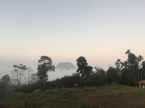 Hotel Wayanad Cave N Pillar Resort
