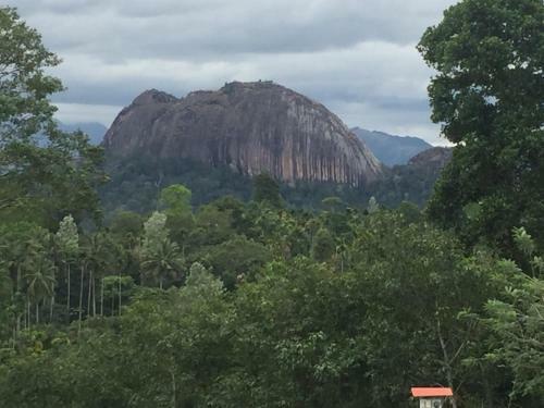 Hotel Wayanad Cave N Pillar Resort