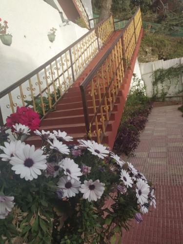 Bed & Breakfast Garden Cottages