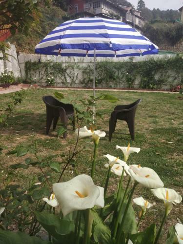 Bed & Breakfast Garden Cottages