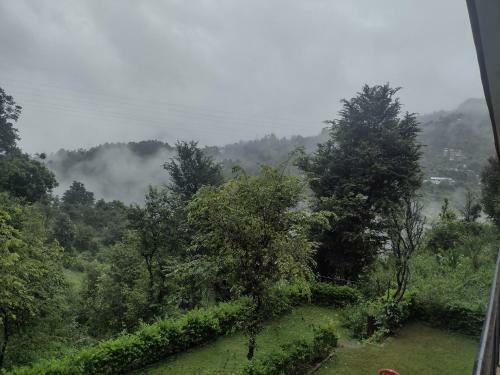 Shadow Homestay, Shoghi.