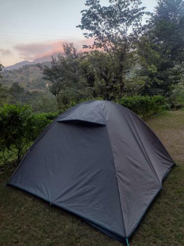 Shadow Homestay, Shoghi.