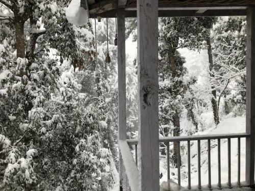 Quaint & Secluded Cottage In Wilderness