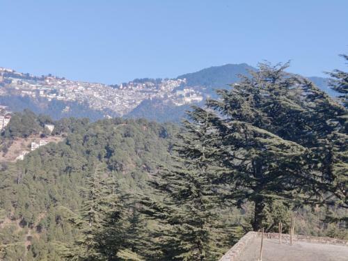 Shimla Hills Apartments 2bhk