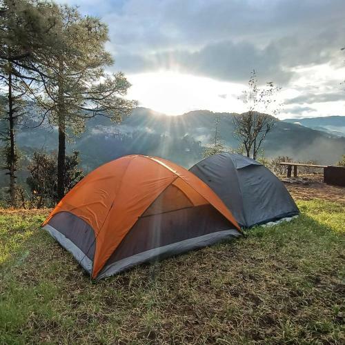 The City Escape Camping
