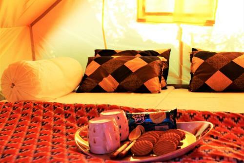 Aman Camps