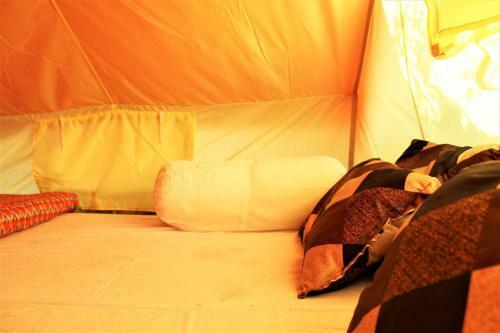 Aman Camps