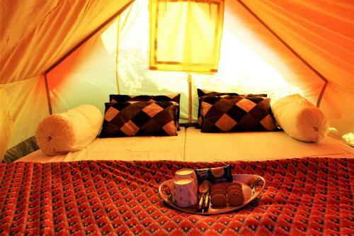 Aman Camps